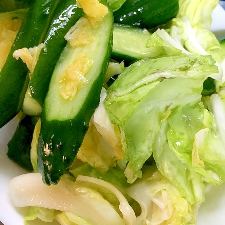 市販の素みたいな春キャベツと胡瓜の浅漬け レシピ 作り方 By Toku Jiro 0707 楽天レシピ